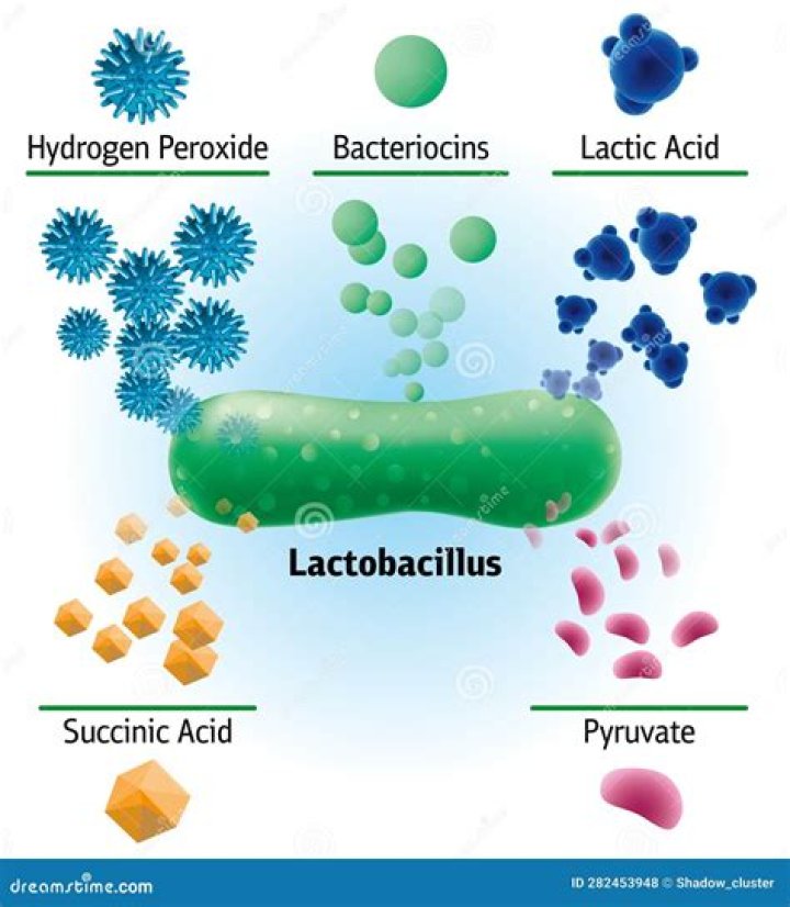 What do bacteriocins do?
