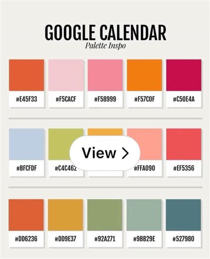 What do the Google colors represent?