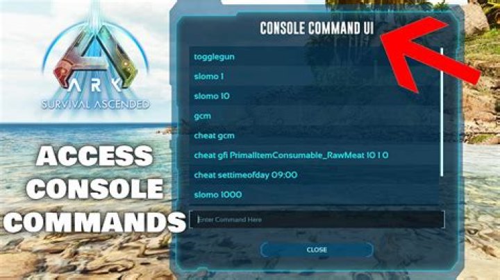 What does a command console do in MWO?