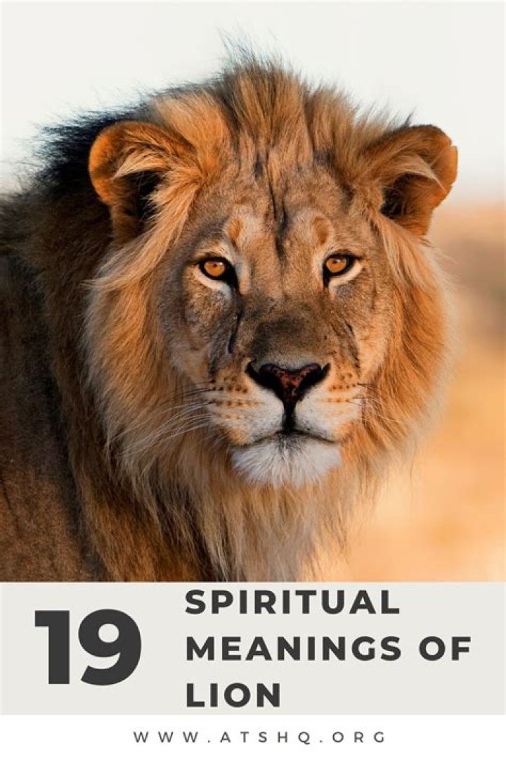 What does a lion represent spiritually?