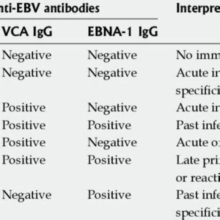 What does a positive EBV IgM mean?