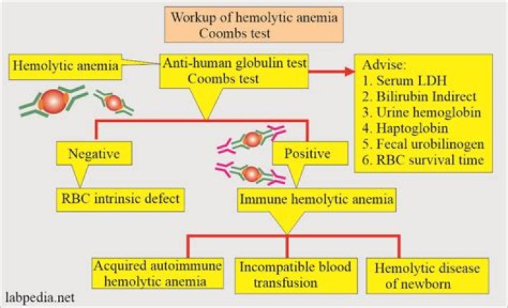 What does Coombs positive mean for a baby?