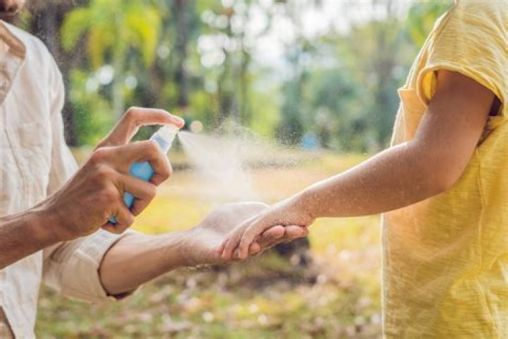 What does Deets mean bug spray?