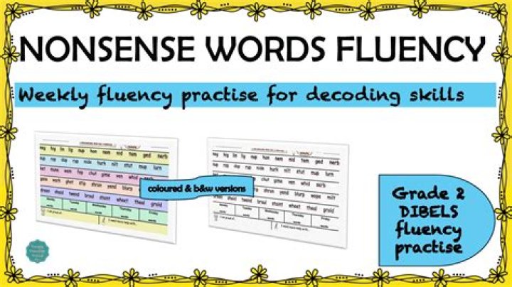 What does DIBELS nonsense word fluency assess?