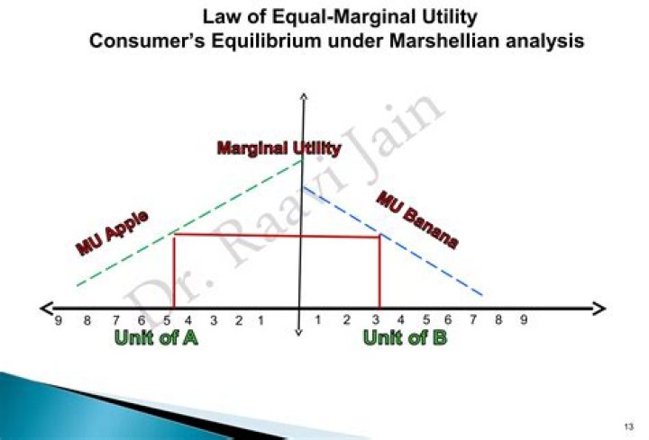 What does equi-marginal utility theory explain?