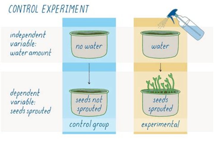 What does it mean to have control in an experiment?