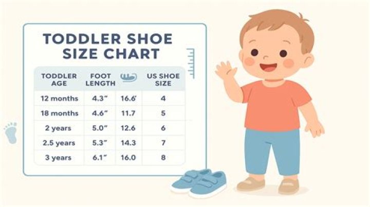What does M mean in toddler shoe size?