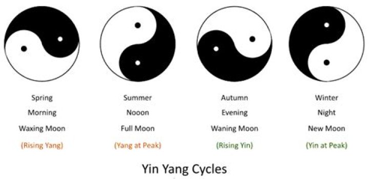 What does Yin Yang mean?
