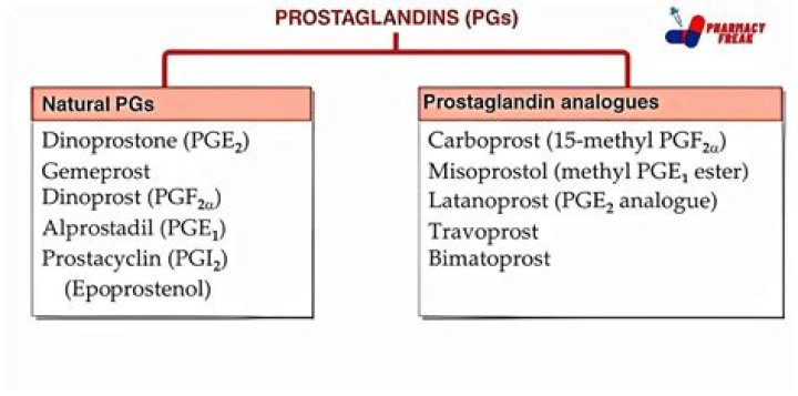 What drugs inhibit prostaglandins?