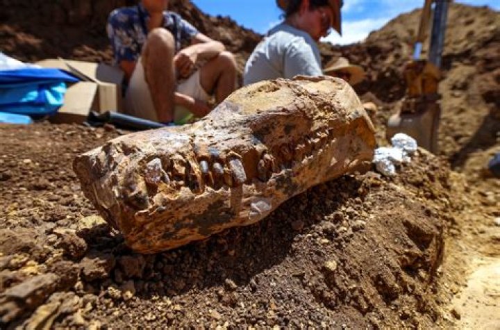 What have archaeologists discovered at Tiahuanaco?