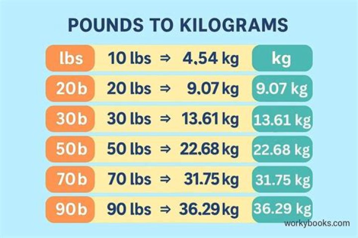 What is 93 kg in pounds and ounces?