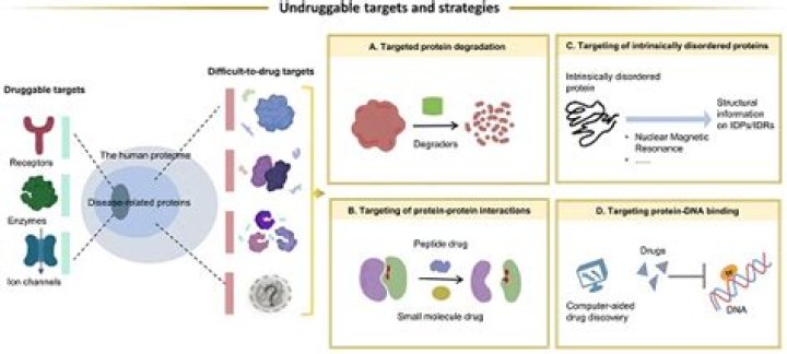 What is a druggable genome?