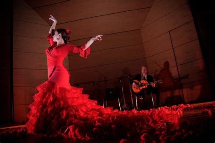 What is a flamenco guitarist called?