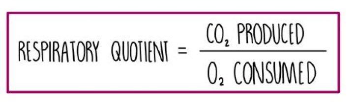 What is a good respiratory quotient?