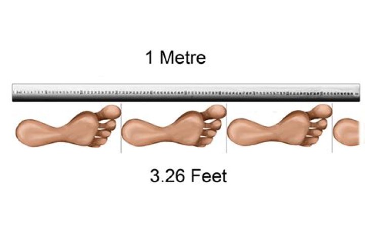 What is a metrical foot consist of?