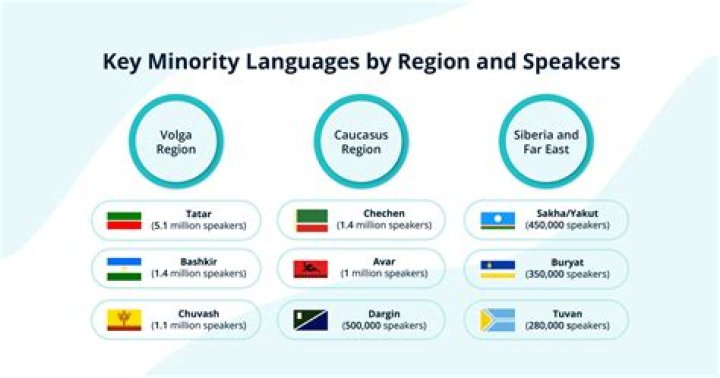 What is a minority language student?
