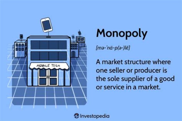 What is a monopoly market?
