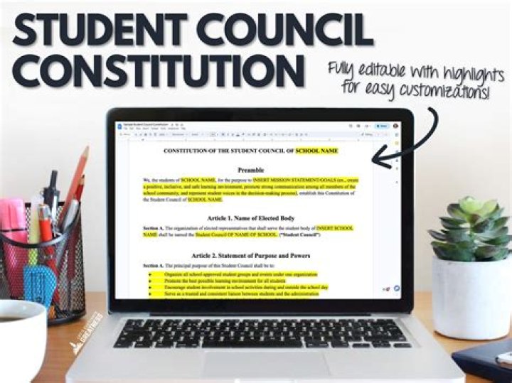 What is a student council constitution?