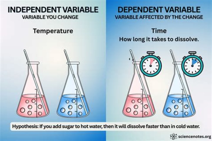 What is an independent news source?