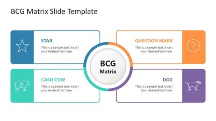 What is BCG matrix with example?