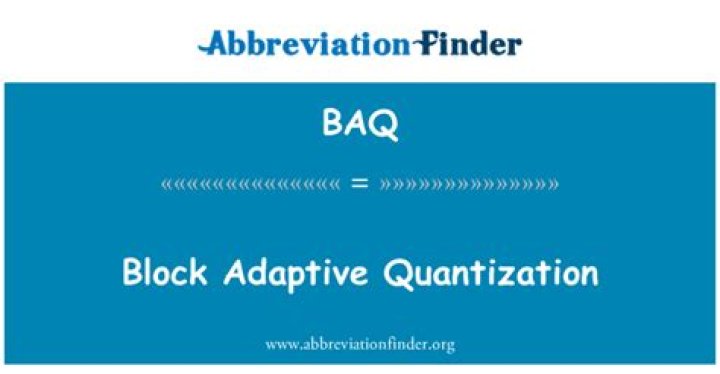 What is block adaptive quantization?
