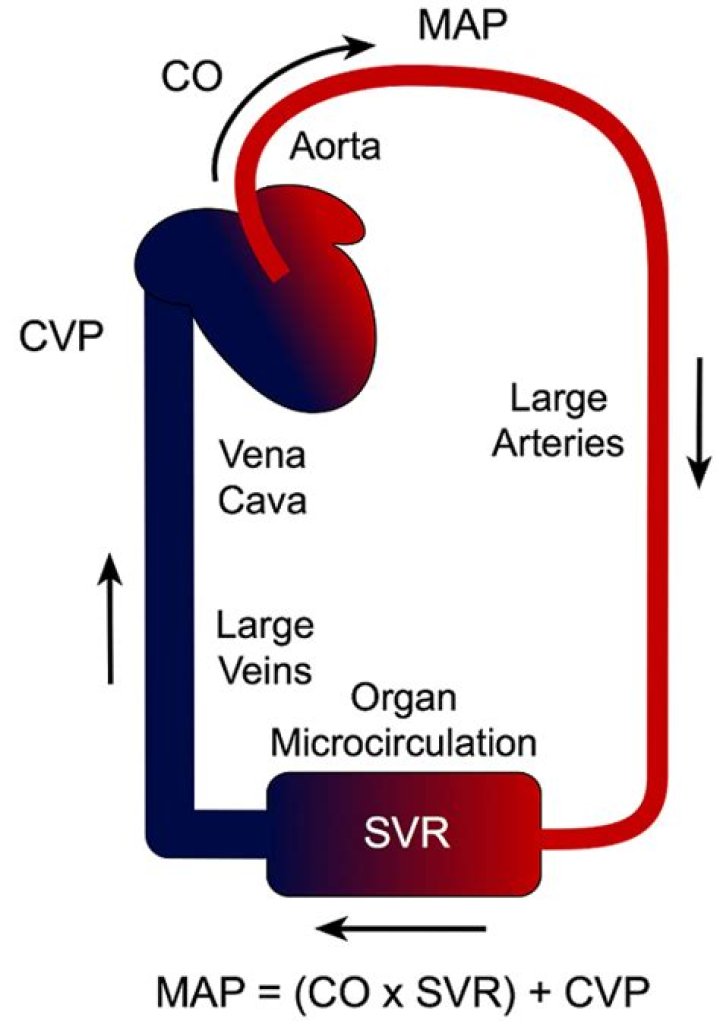 What is BP CO x SVR?