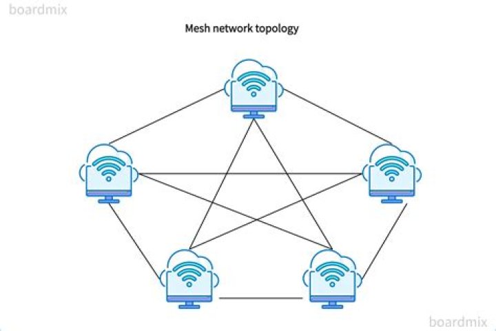 What is brain network topology?