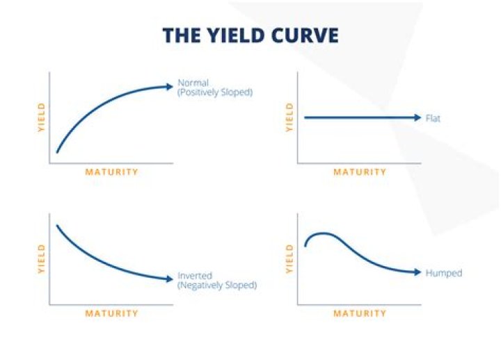 What is company yield?
