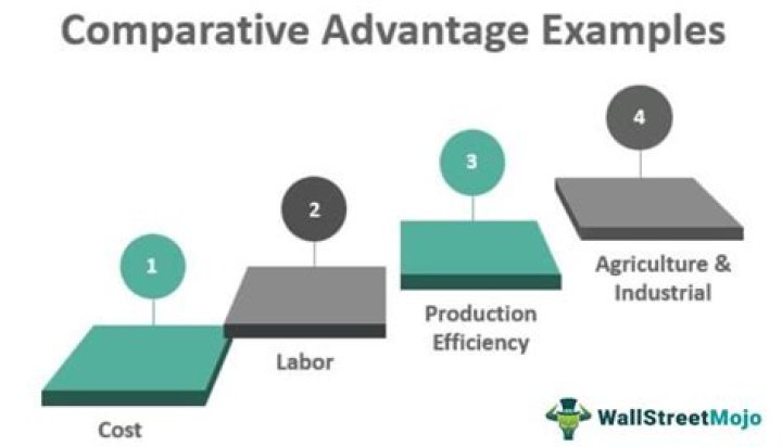 What is comparative advantage in economics examples?