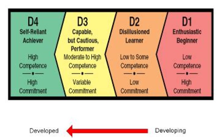 What is d1 and d2 in BSM model?