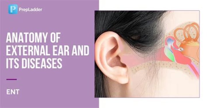 What is external ear disorders?