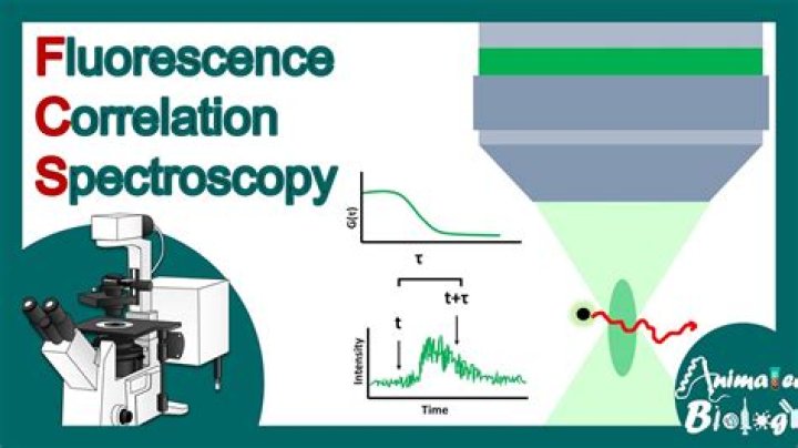 What is FCS microscopy?