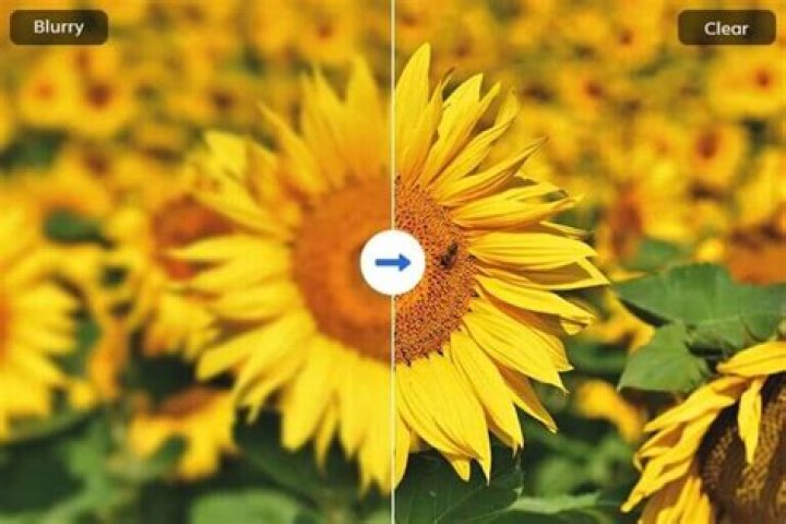 What is it called when a photo is blurry?