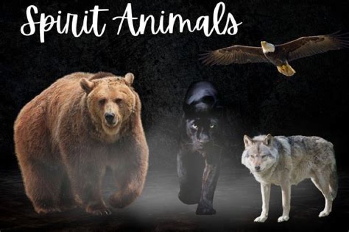 What is Rollan spirit animal?