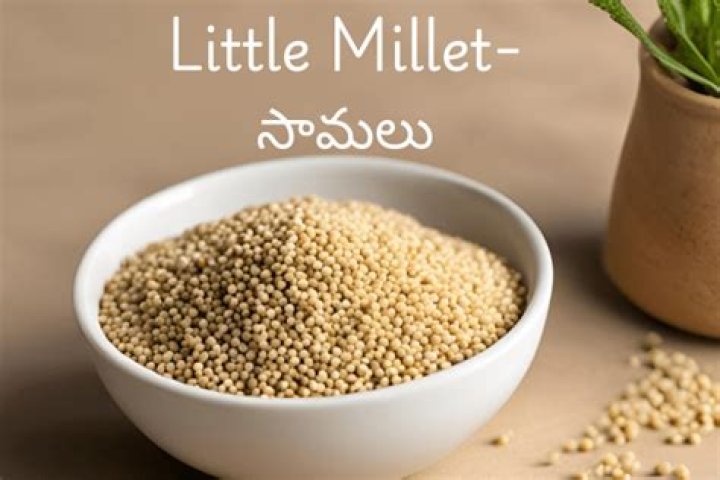 What is Samalu in English?