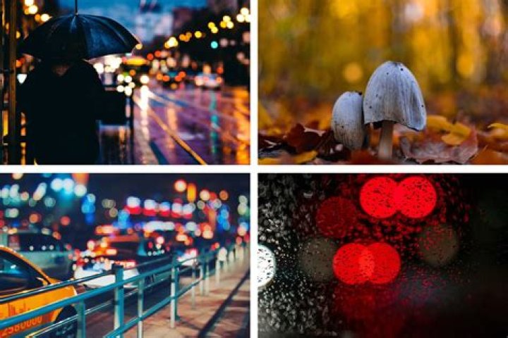 What is shallow or selective focus?
