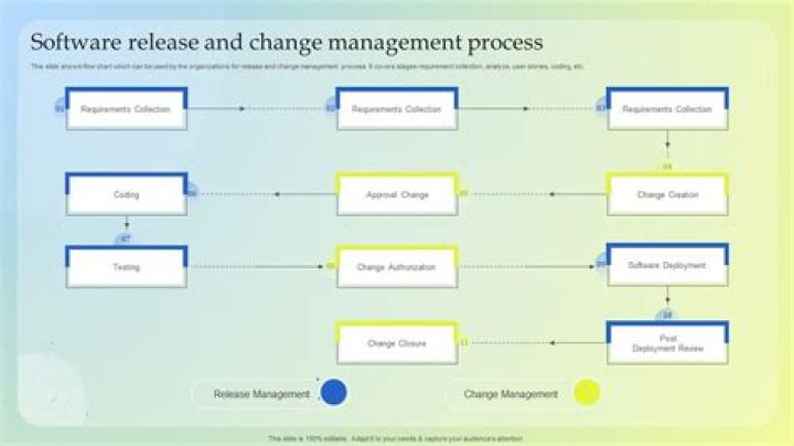 What is software release management process?