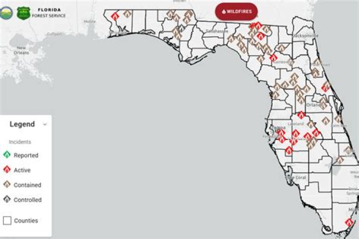 What is the current Florida fire code?