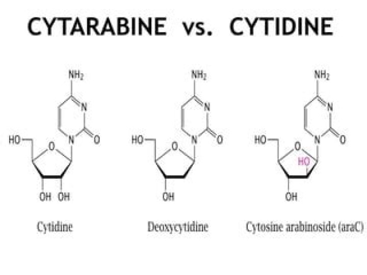 What is the difference between azacitidine and decitabine?