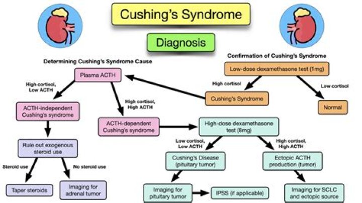 What is the difference between Cushings Syndrome and disease?