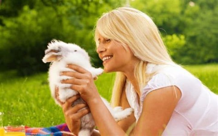 What is the friendliest rabbit breed?