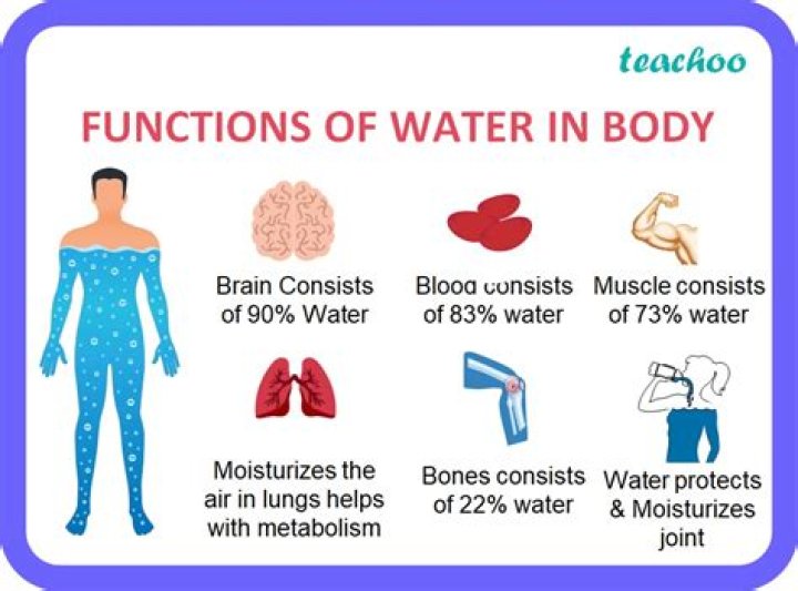 What is the function of 74181?