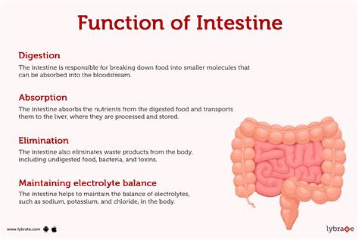 What is the function of Dikaiosune?