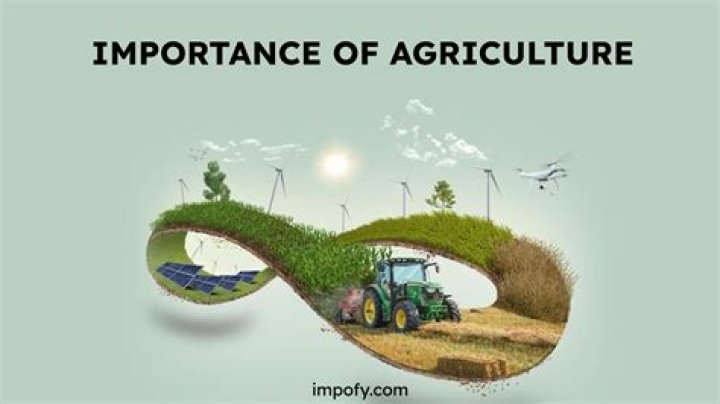 What is the importance of agricultural processing?