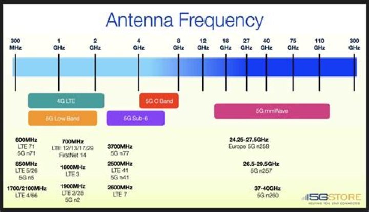 What is the LTE DL reference signals used for?
