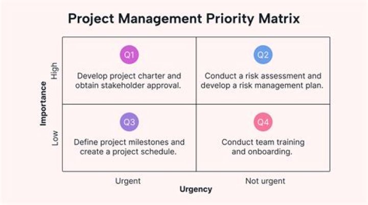 What is the meaning of priority setting?
