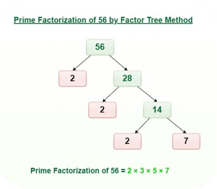 What is the prime factorization tree of 784?