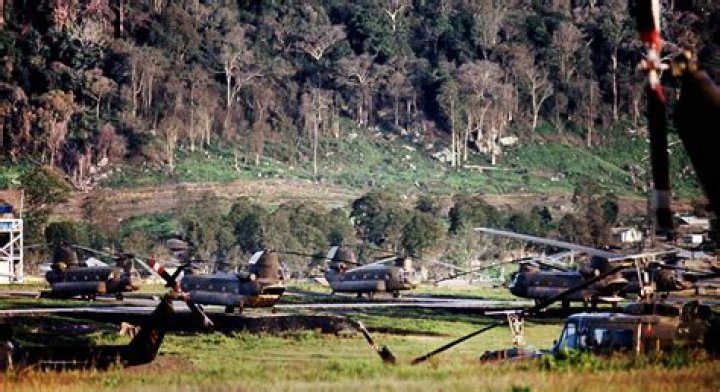 What is Triple Canopy army?
