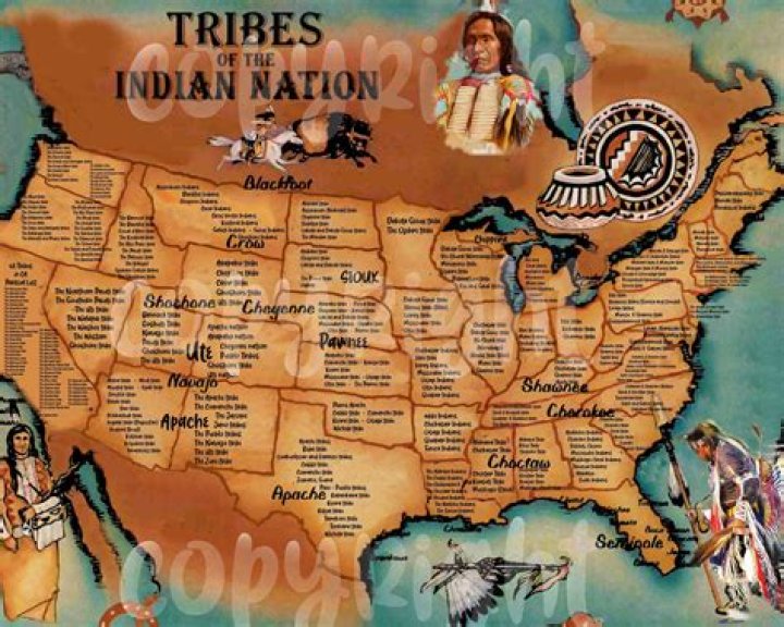 What native tribe lived in Tampa?