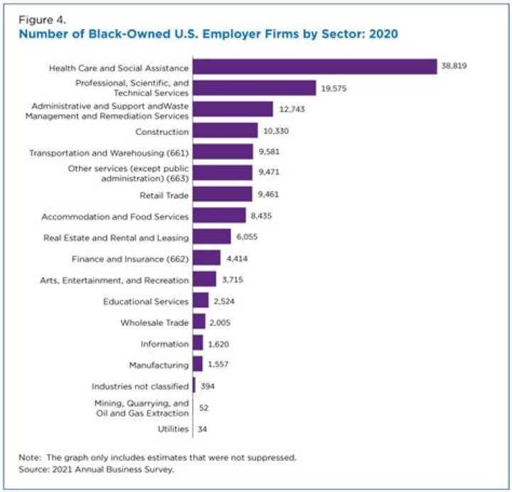 What percentage of businesses are owned by black?